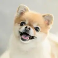 プロフィール画像2