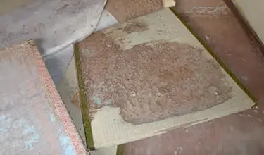 畳のシロアリ被害